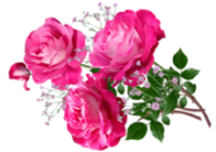 flowers-5119654_960_720 (198x140, 56Kb)