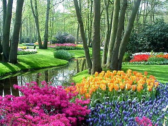 парк цветов кекенхоф